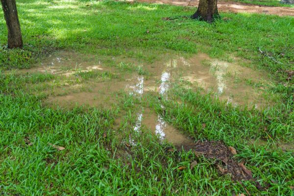 Storm Water Drainage Service in Surprise