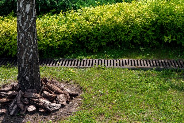 Cost of Yard Water Redirection in Surprise
