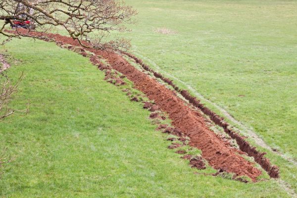 Cost of Swale Installation in Surprise