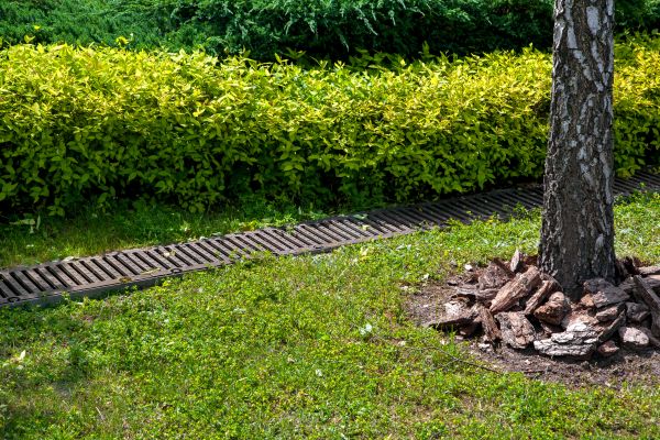 Residential Landscape Drainage in Surprise