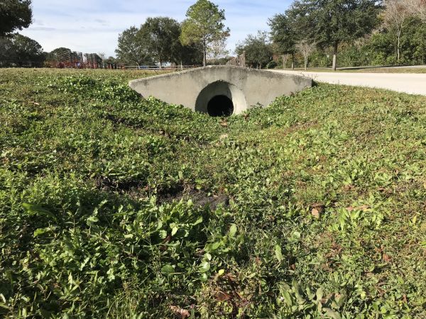 Cost of Swale Drainage Service in Surprise